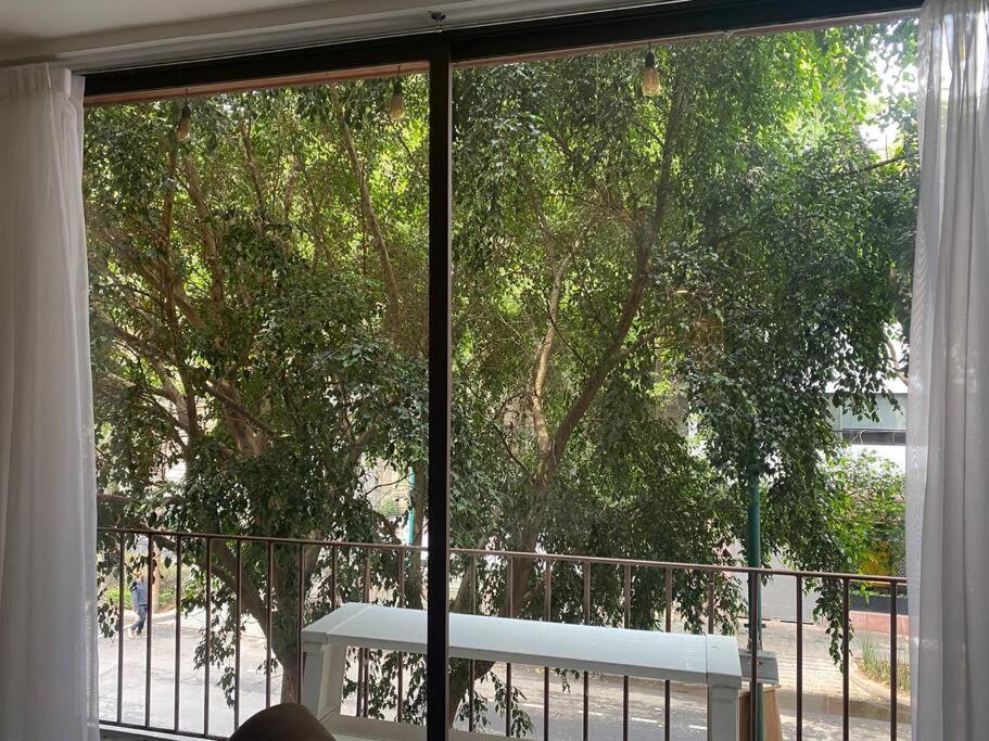 Comfortable Loft At Beautiful Historic Building! México DF Exterior foto